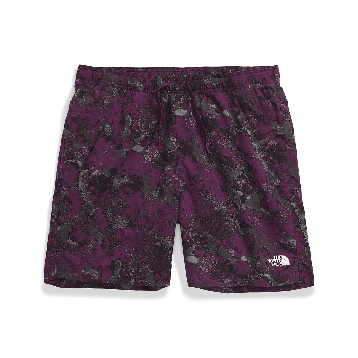 The North Face Men's Action Shorts 2.0