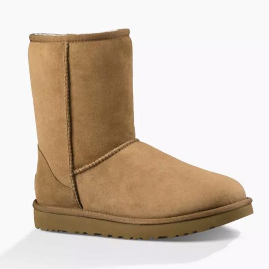 Women's Ugg Footwear