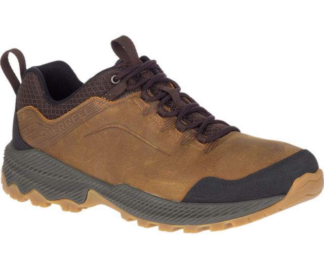 Merrell Men's Forestbound Hiking Shoe