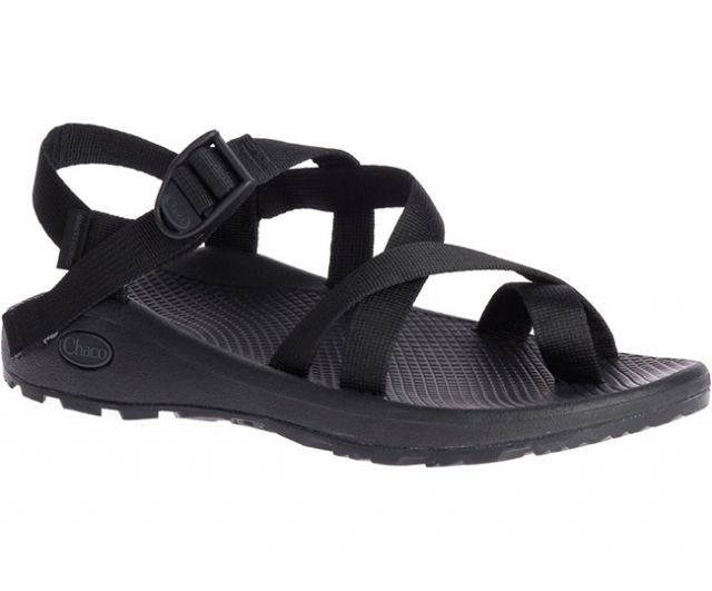 Chaco Men's Z / Cloud 2