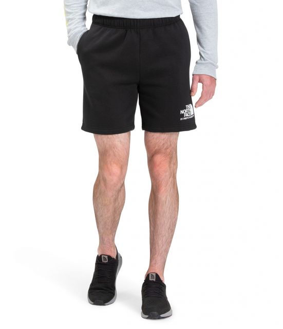 The North Face Men's Coordinates Shorts