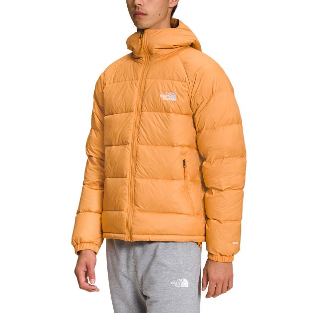 The North Face Men's Hydrenalite&trade; Down Hoodie