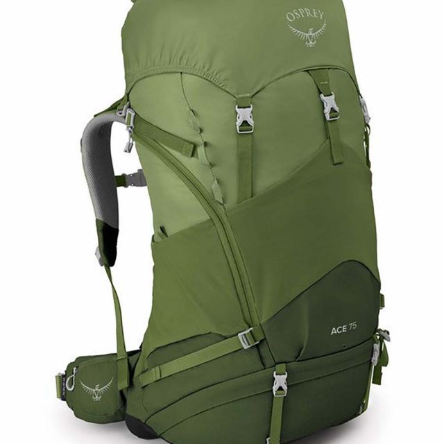 Osprey Ace 75 Venture Green Backpack