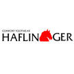 Haflinger Footwear
