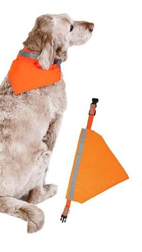 hunter orange dog collar