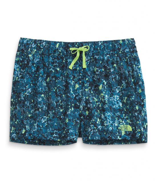 the north face nylon swim shorts