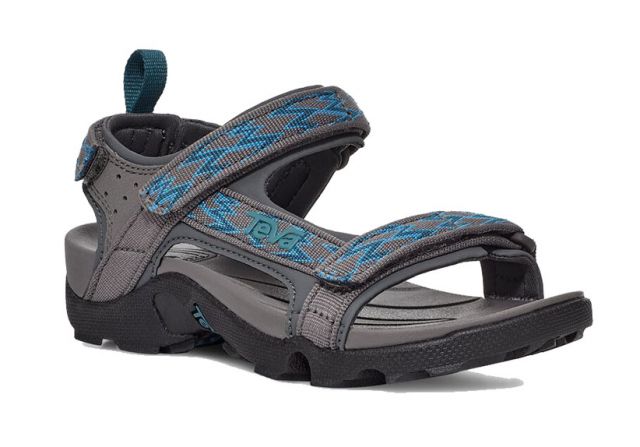 Teva Little Kids Tanza Sandal