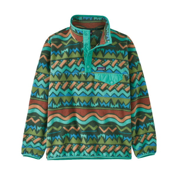 Patagonia Boys' LW Synchilla&reg; Snap-T&reg; Fleece Pullover