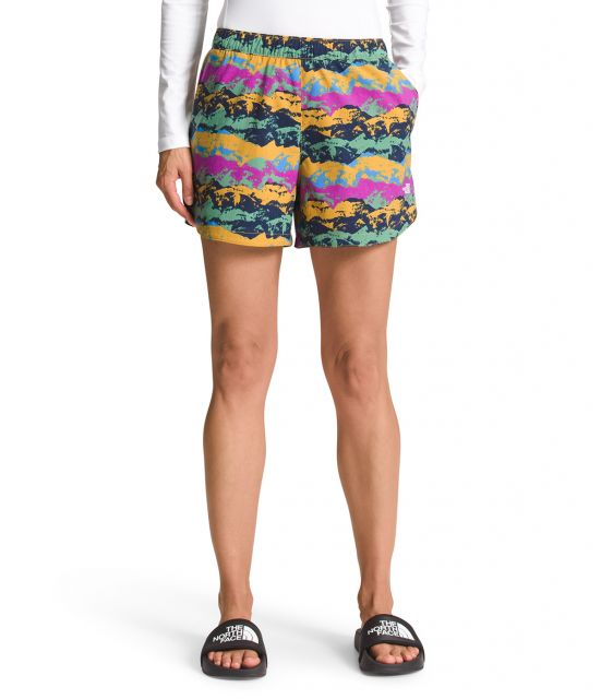 The North Face Women's Class V Shorts