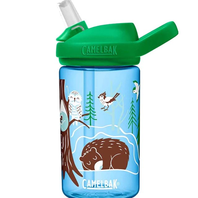 Camelbak Kids' Eddy&reg; 14 Oz Bottle with Tritan&trade; Rnew, Limited Edition