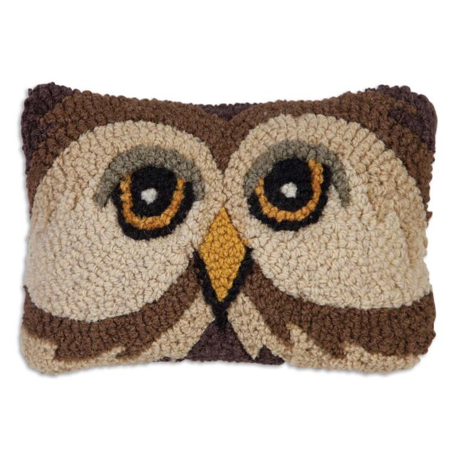 Chandler 4 Corners 167 Wise Owl - 8X12