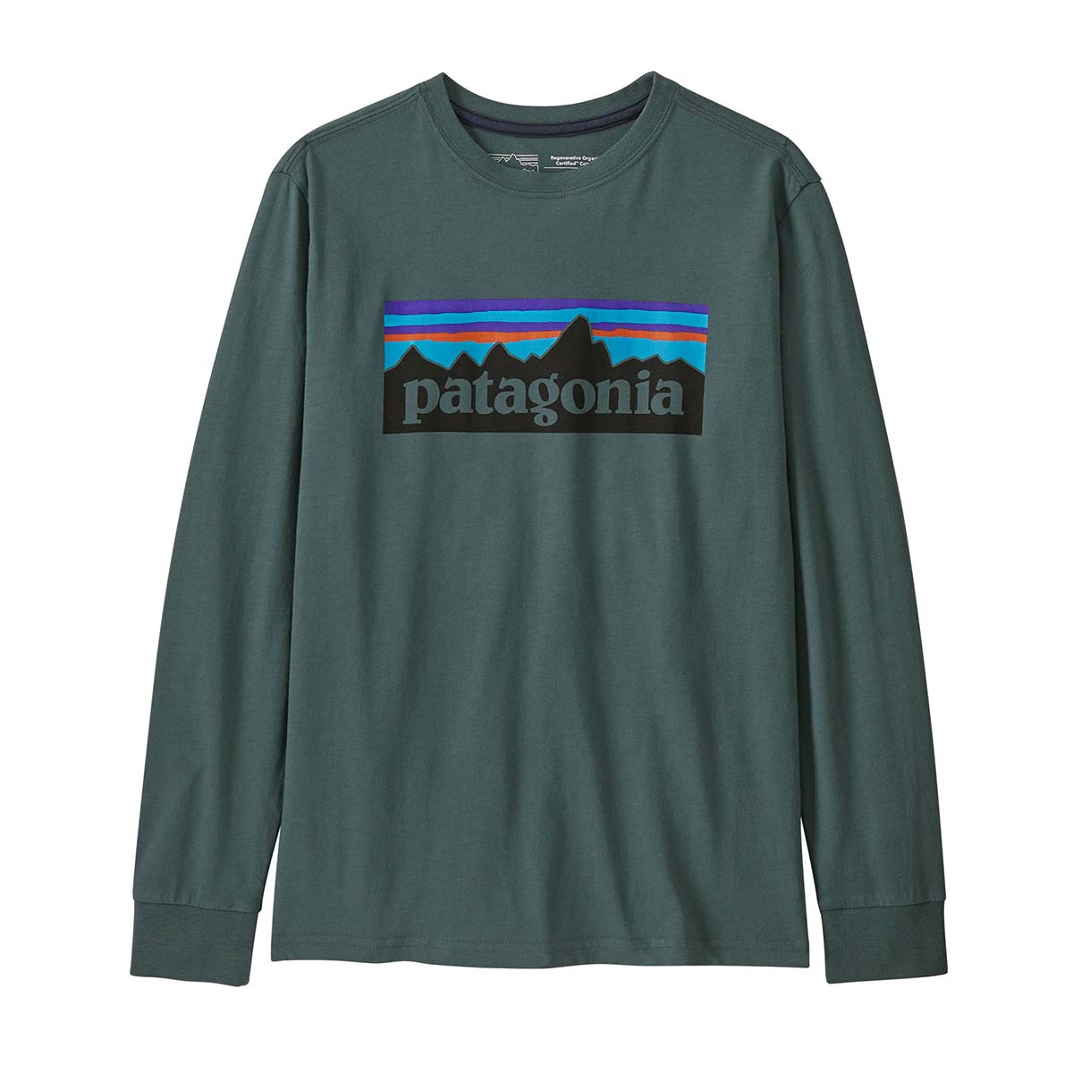 Patagonia Kids' Long-Sleeved Regenerative Prganic Certified&reg; Cotton P-6 T-Shirt