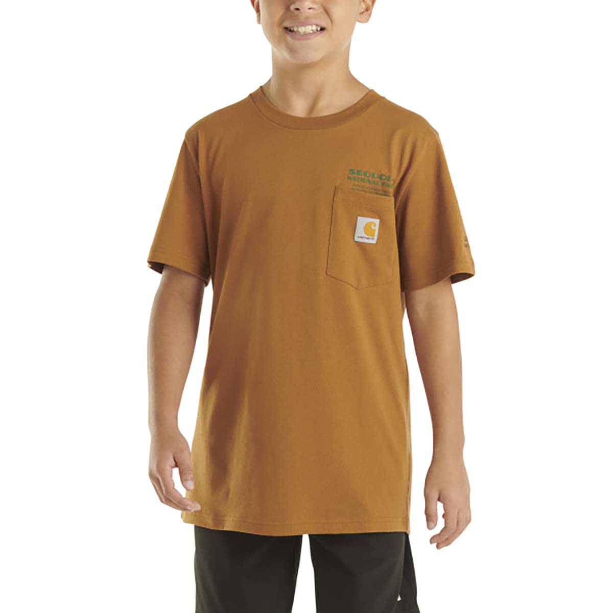 Carhartt Short Sleeve Sequoia National Park T-Shirt