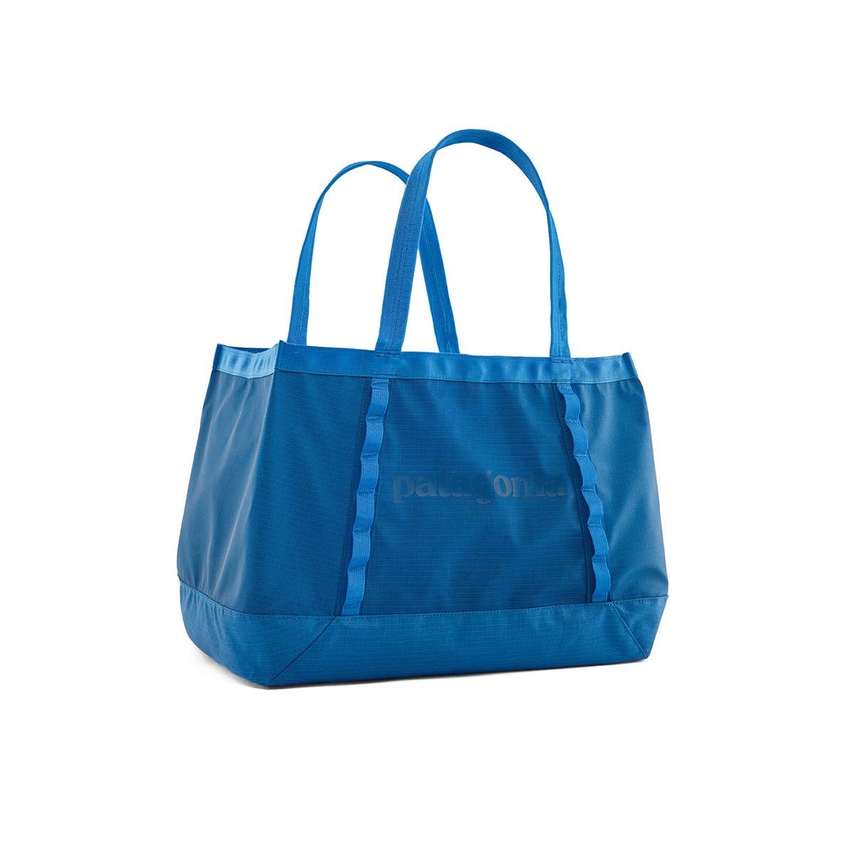 Patagonia Black Hole&reg; Tote - 25L