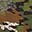 Topo Camo (CR22)