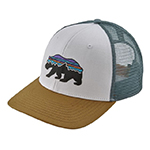 Patagonia Accessories