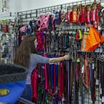 Pet Department / Wild Bird